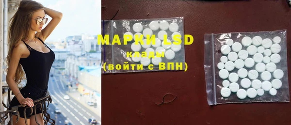 мяу мяу мука Арсеньев