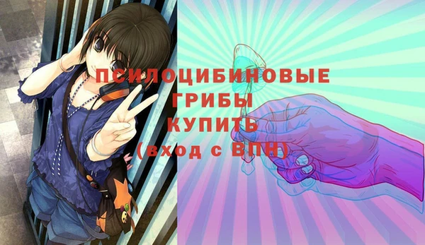 2c-b Аркадак