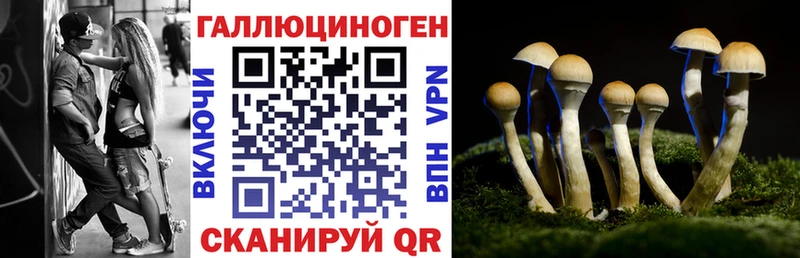 Галлюциногенные грибы GOLDEN TEACHER  сколько стоит  Ядрин 