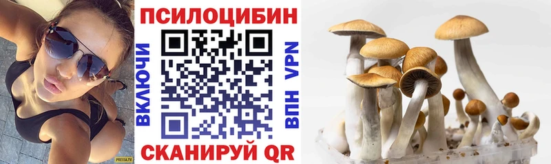 Галлюциногенные грибы MAGIC MUSHROOMS Ядрин